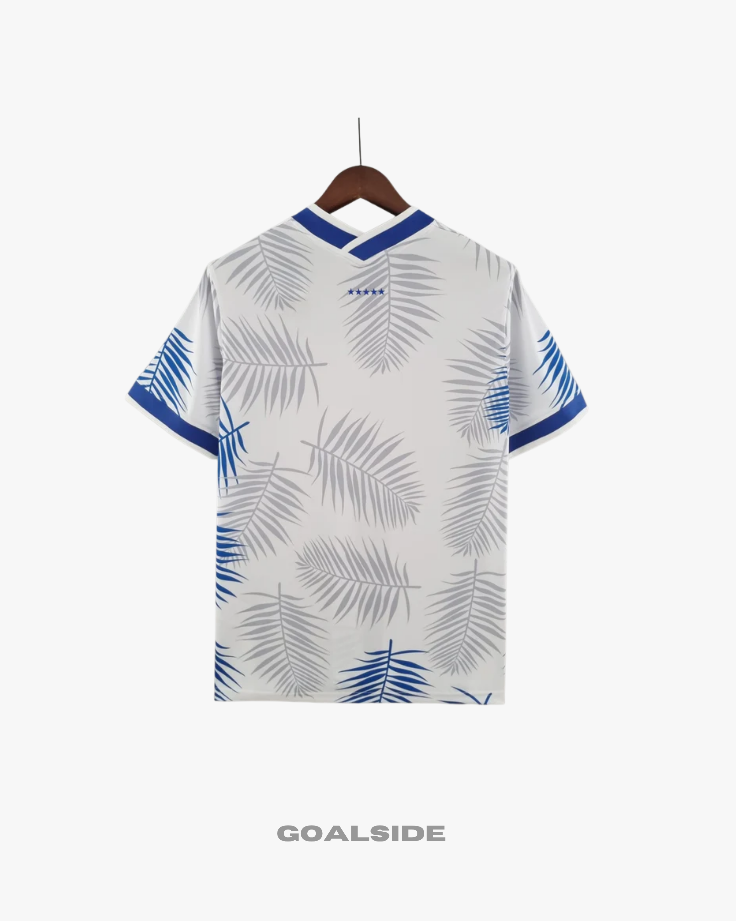 BRAZIL CONCEPT PALMIER